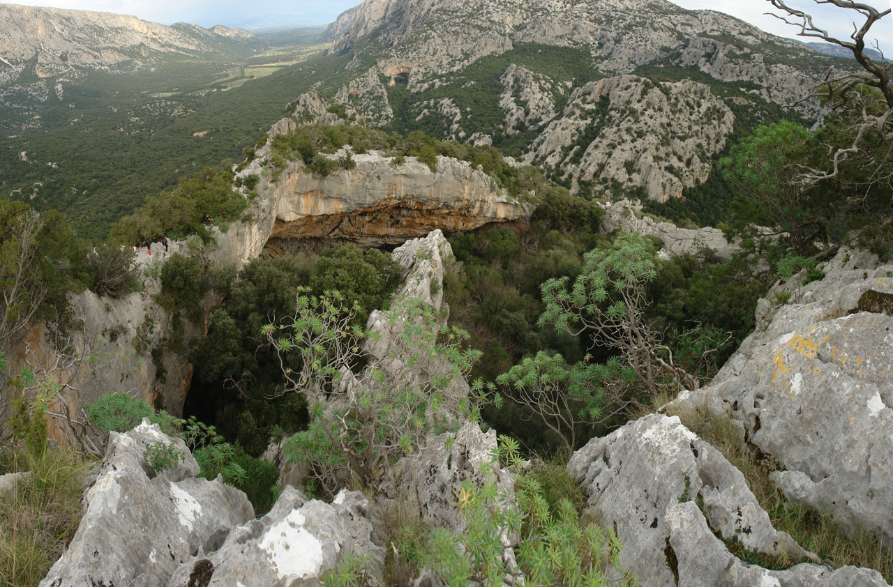 Tiscali, Panorama