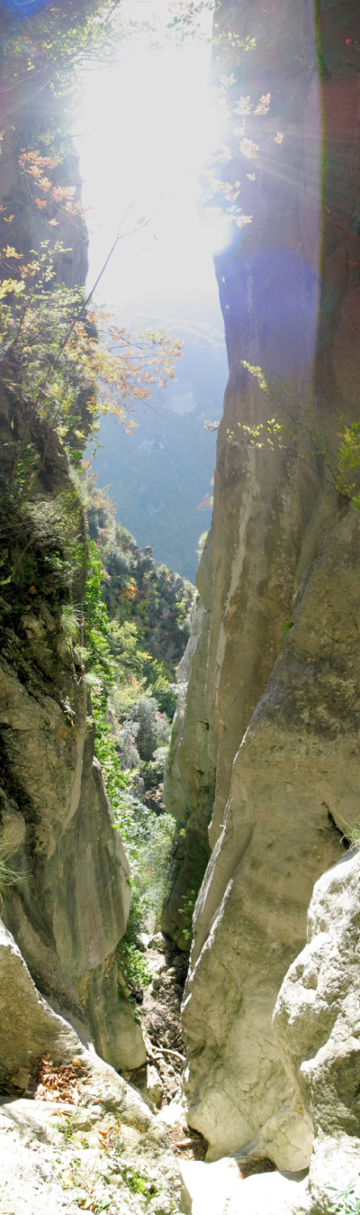 canyon-panorama