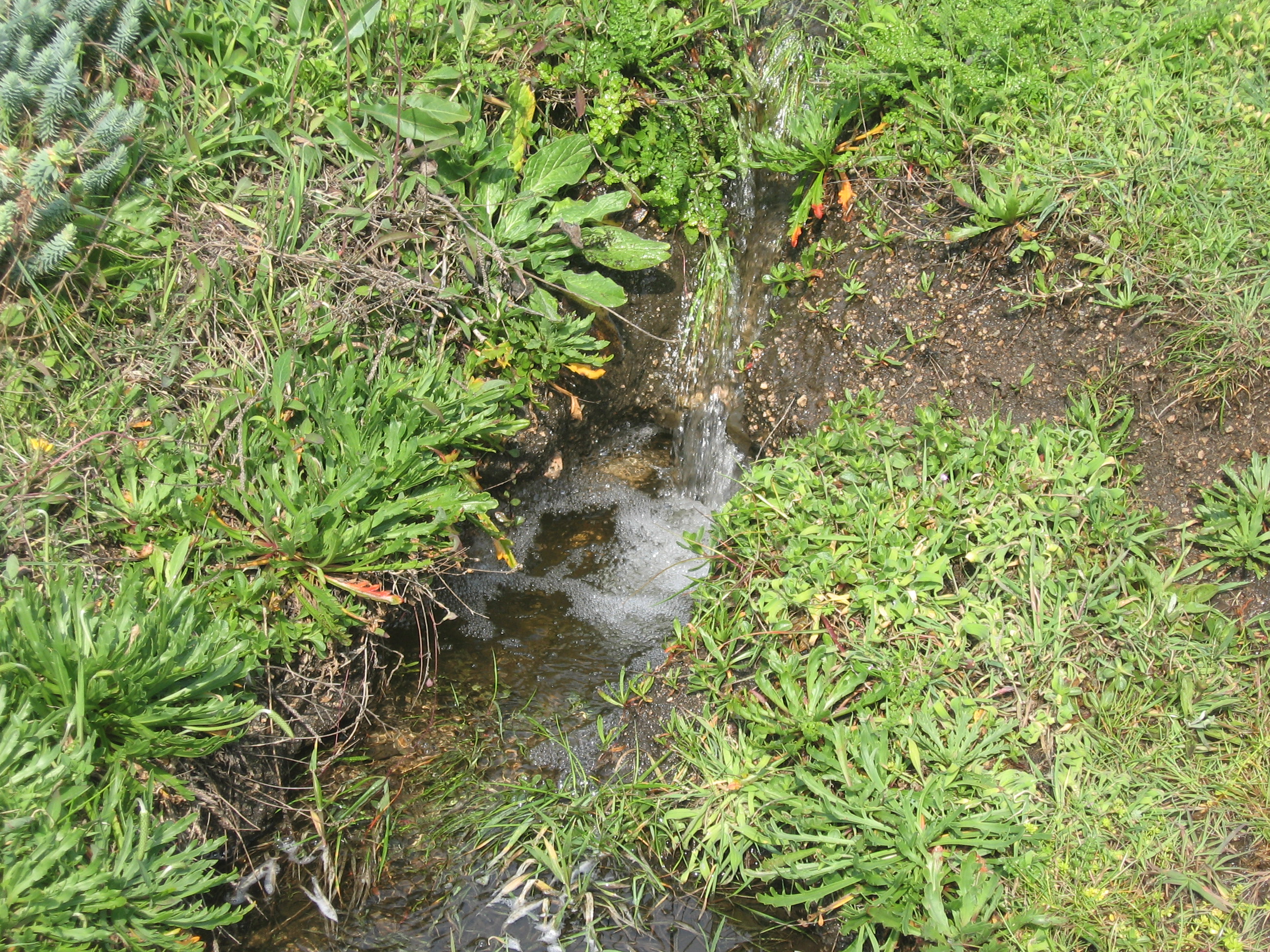 cascate in prima