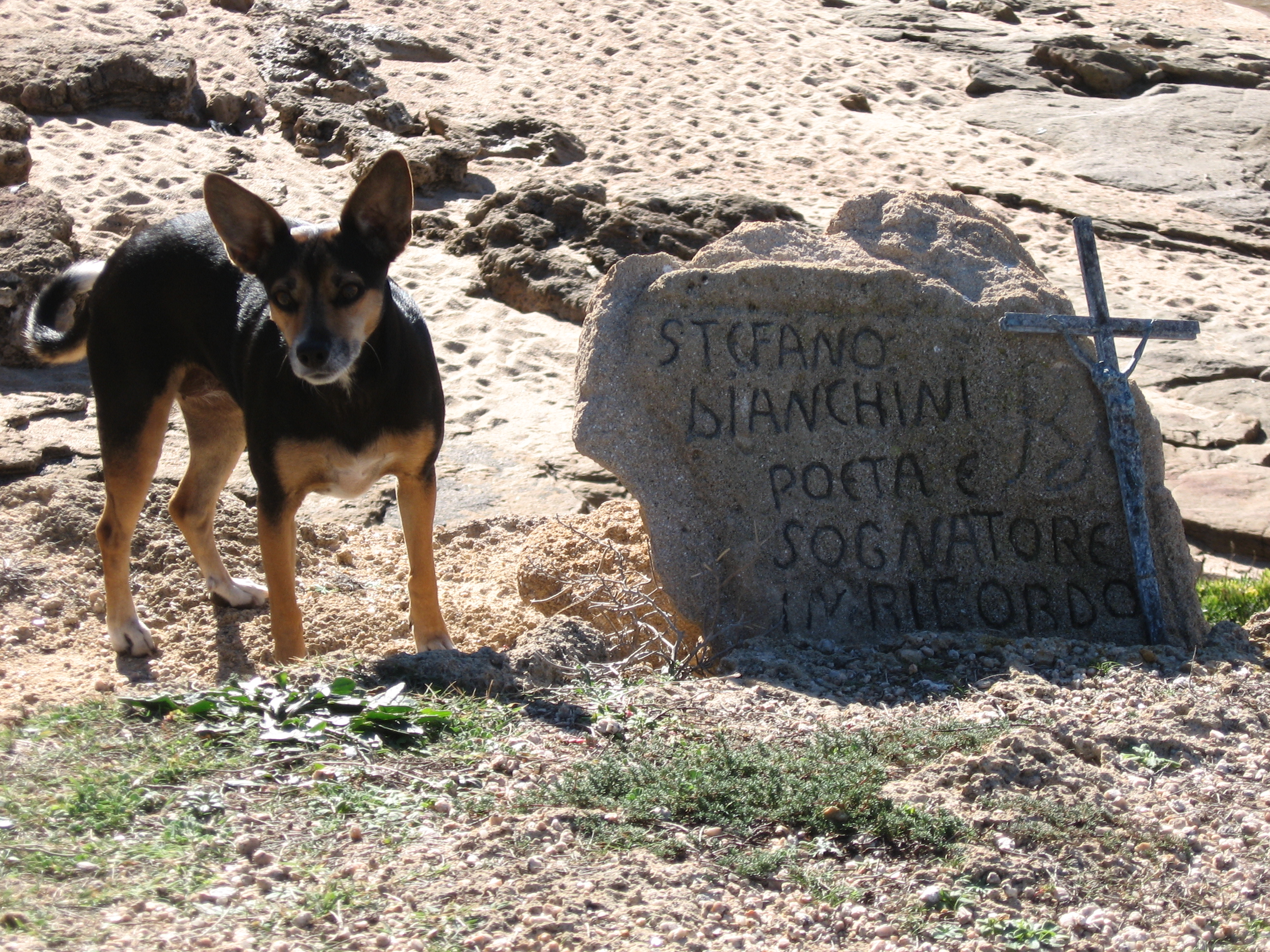 a guardia del poeta