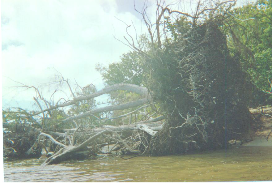 Cyclone damage on Emae