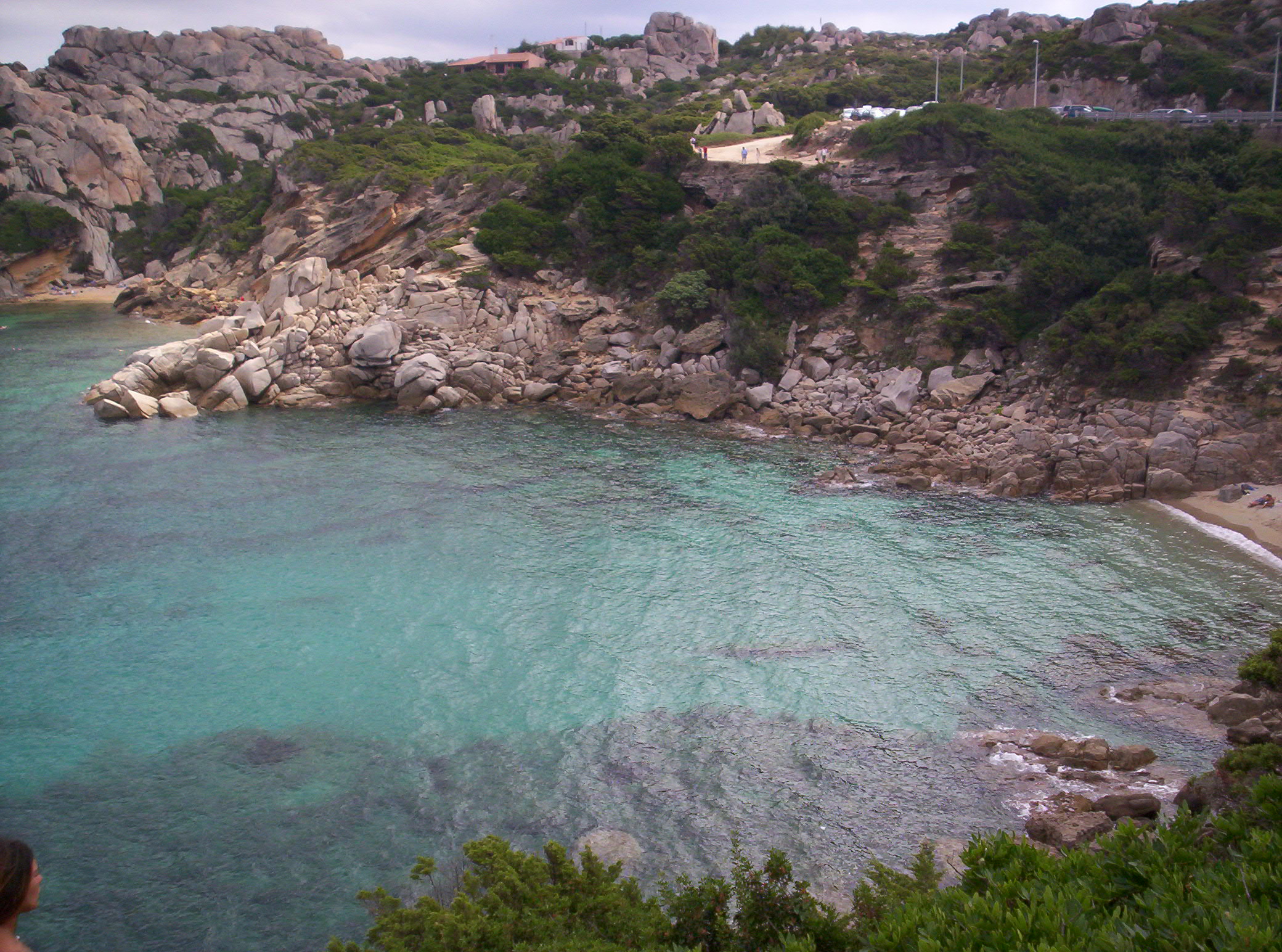 cala spinosa