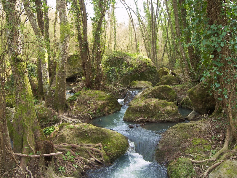 torrente nella jungla etrusca