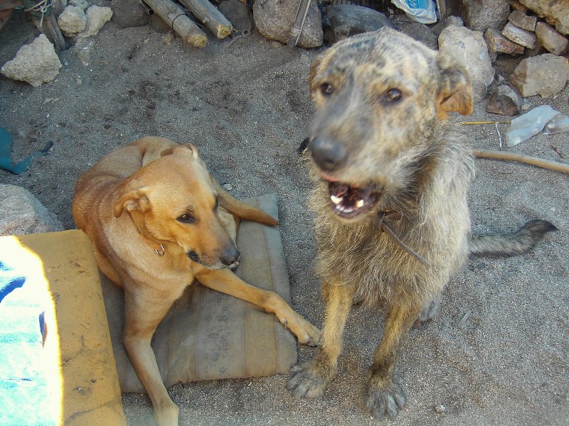 MammaClé&amp;FiglioPheus