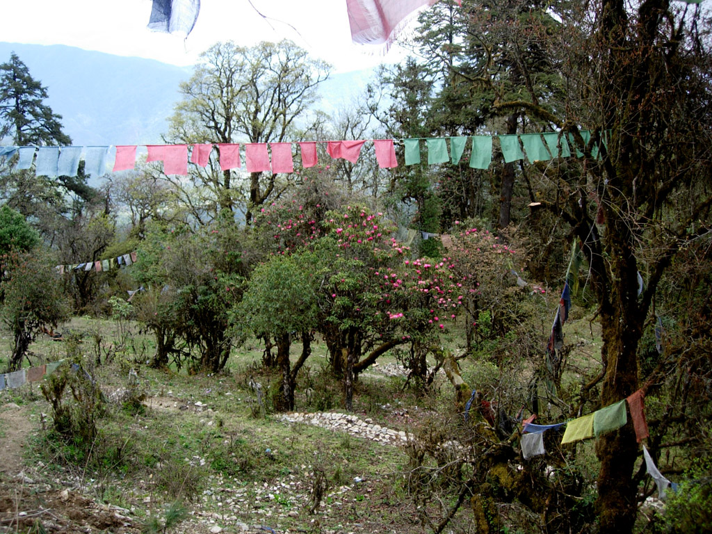 2006-04-21_05-27-51_Bhutan