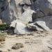 PIC01753