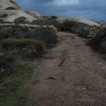 PIC03201